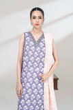 2PC stitched Printed Lawn Shirt and Dupatta KSD-3455 - Printed - KHAS STORES US -  
