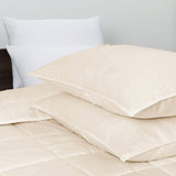 Comforter 3pcs Set - All Season Reversible Comforter with 1 Pillow Shams, Soft Breathable Microfiber Bedding Set, All Season Lightweight Comforter Beige - Polycotton - KHAS STORES US - Comforter 3pcs Set - All Season Reversible Comforter with 1 Pillow Shams, Soft Breathable Microfiber Bedding Set, All Season Lightweight Comforter Beige 