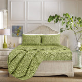Sleepdown 4 Piece 100% Cotton Sheet Set  Leopard Lime - Polycotton - KHAS STORES US - Sleepdown 4 Piece 100% Cotton Sheet Set  Leopard Lime 