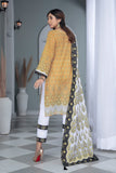 LADIES SUIT KL-1695 KHAS STORES 